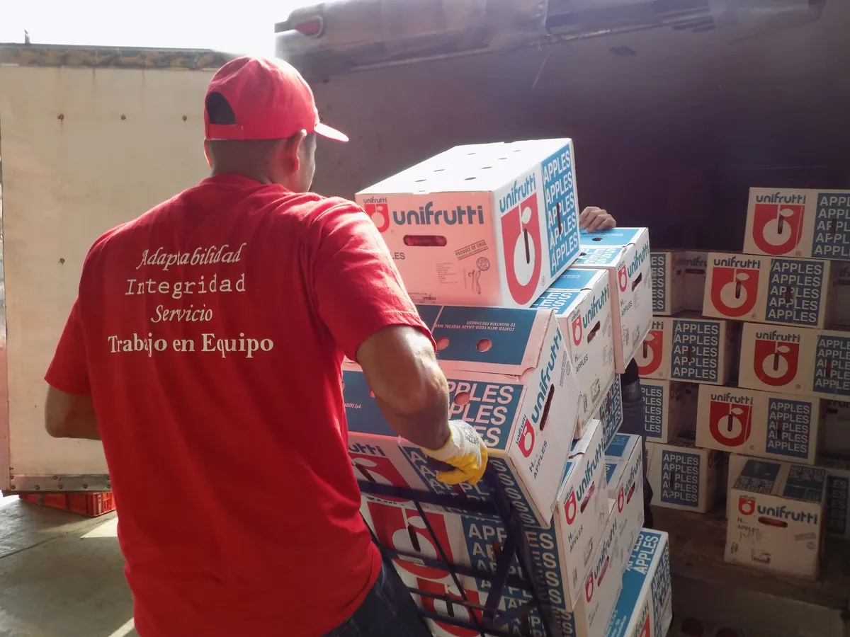 Un operario de Vigomez, con los cuatro valores impresos en la espalda de su camiseta, descarga cajas de manzana importada de un camión